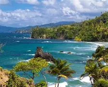 亚博官网-特立尼达和多巴哥旅游攻略